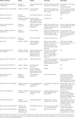 Improving PARP inhibitor efficacy in high-grade serous ovarian carcinoma: A focus on the immune system